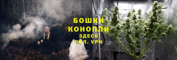 ECSTASY Майский