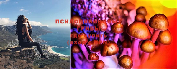 ECSTASY Майский