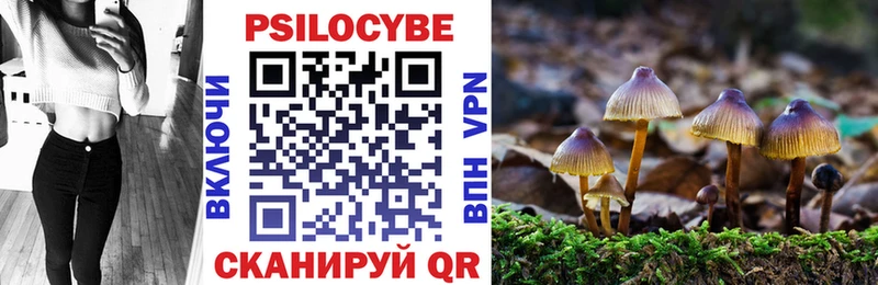 Купить  Харовск  Галлюциногенные грибы мицелий 